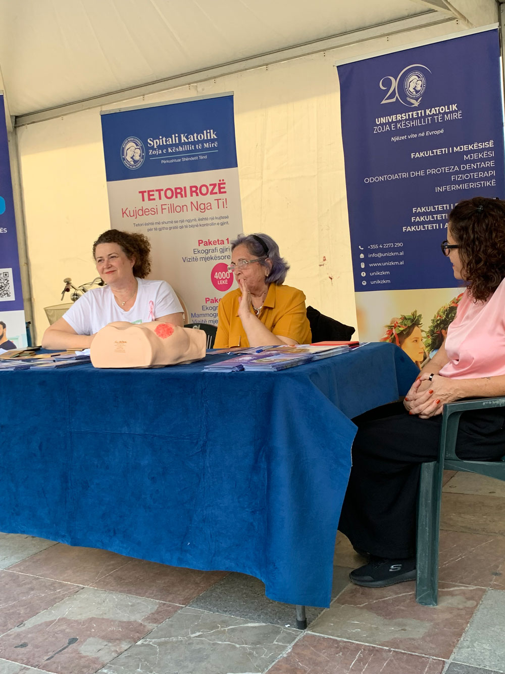 Aktivitete Tetori Roz 